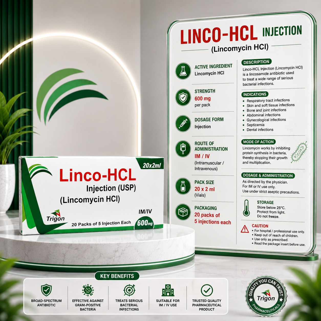 WhatsApp Image 2026-08-10 at 1.17.28 PM Linco-HCl 600mg Injection - Image 1